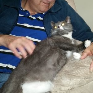 Meet your Posher, Brad